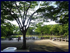 Yoyogi Park 13